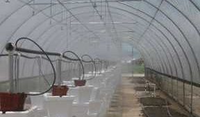 Helping Hand For Haiti Involves High Tunnels