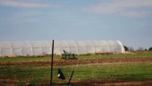 Opinion: Reap The Benefits Of High Tunnels