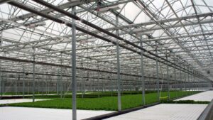 Hard Truths on Achieving Greenhouse Success
