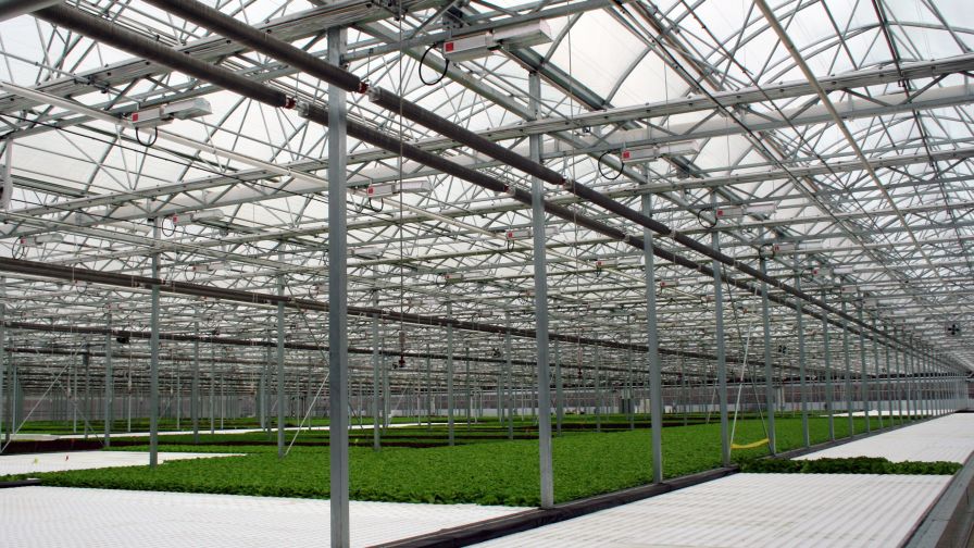 Inside of a Greenhouse Facility