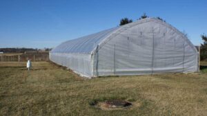 6 Factors To Consider When Constructing High Tunnel End Walls