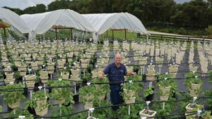 Diversification Is King For Small Farm’s Success