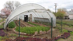 High Tunnels Offer Real Competitive Advantages For Your Crop [Opinion]