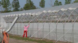 Save Your Greenhouse Structures From Storms